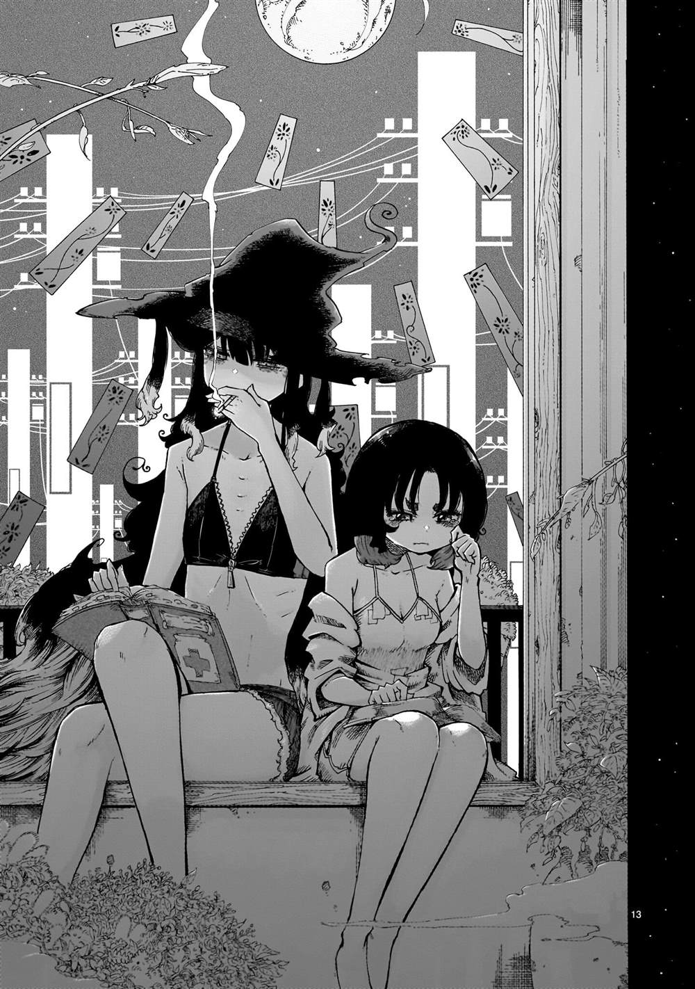 第13页