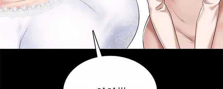 第223页