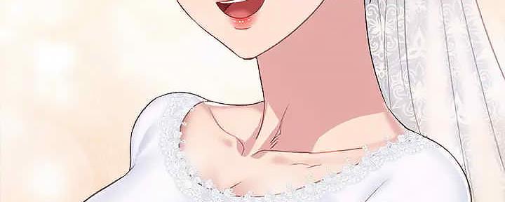 第239页